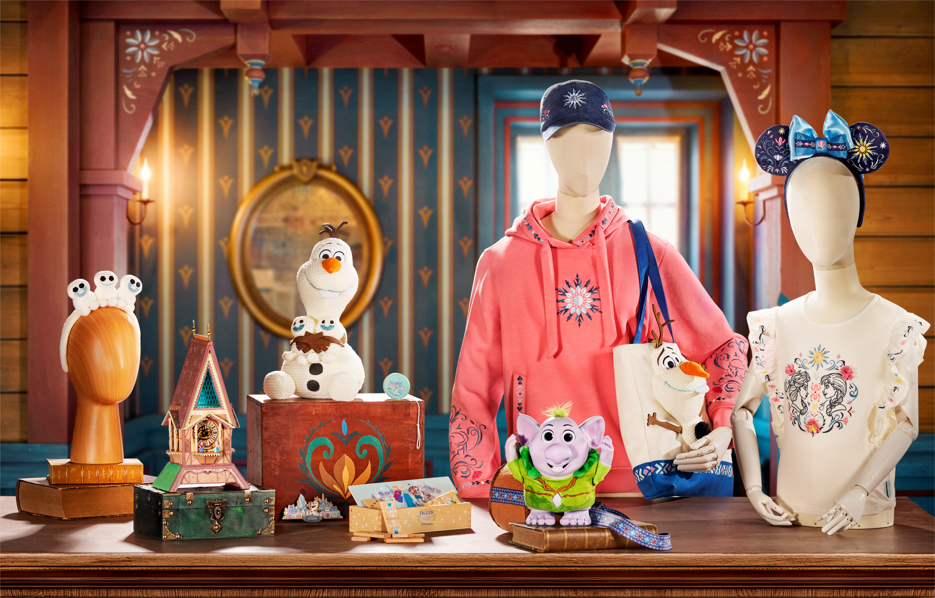 Merchandise in World of Frozen