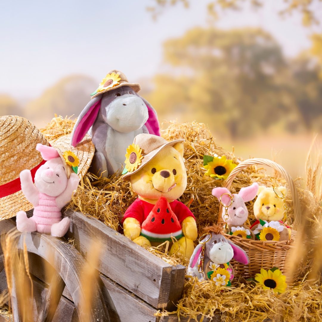 Disney Store Japan and China Merchandise Winnie the Pooh