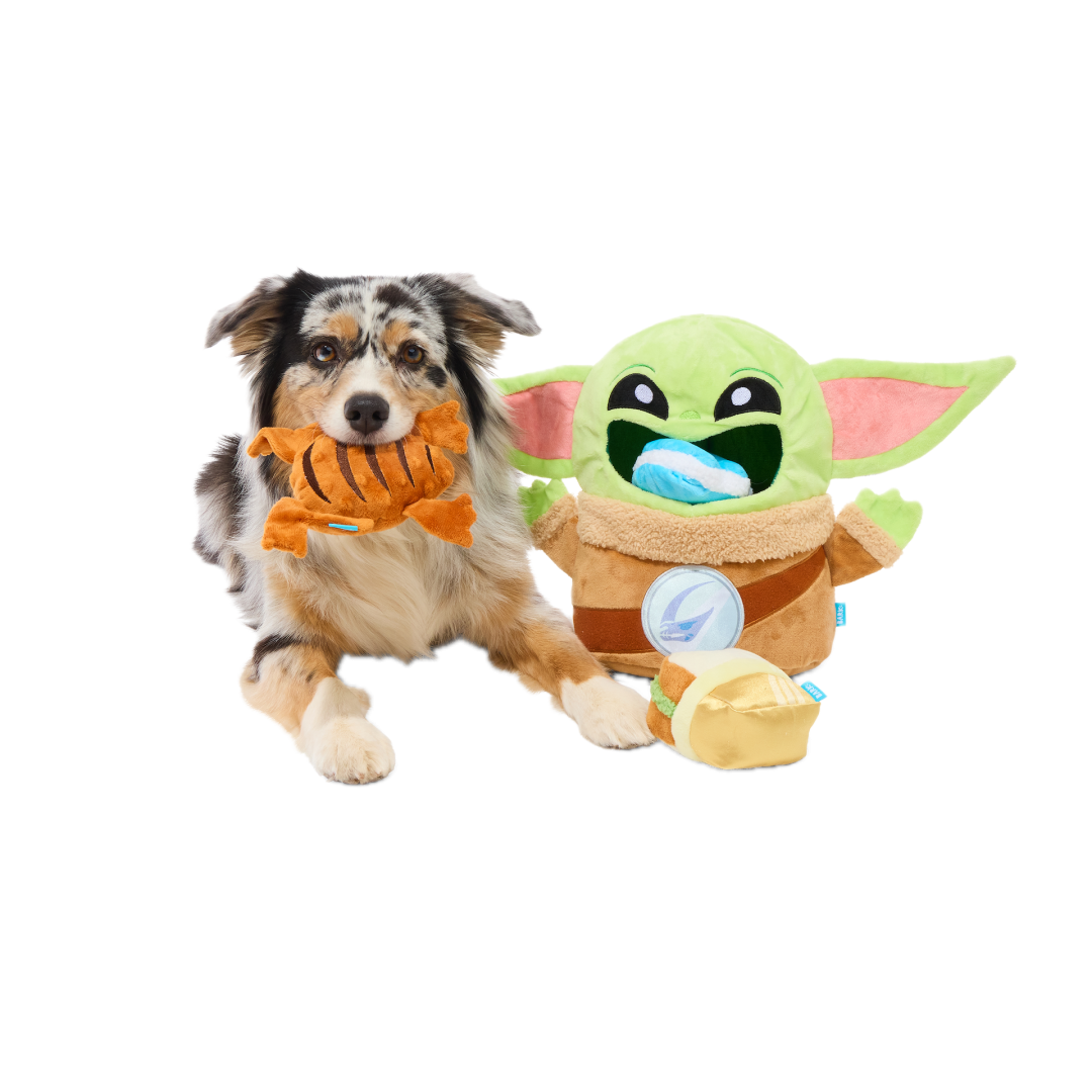 May the 4th New Star Wars Merch Pet Toys