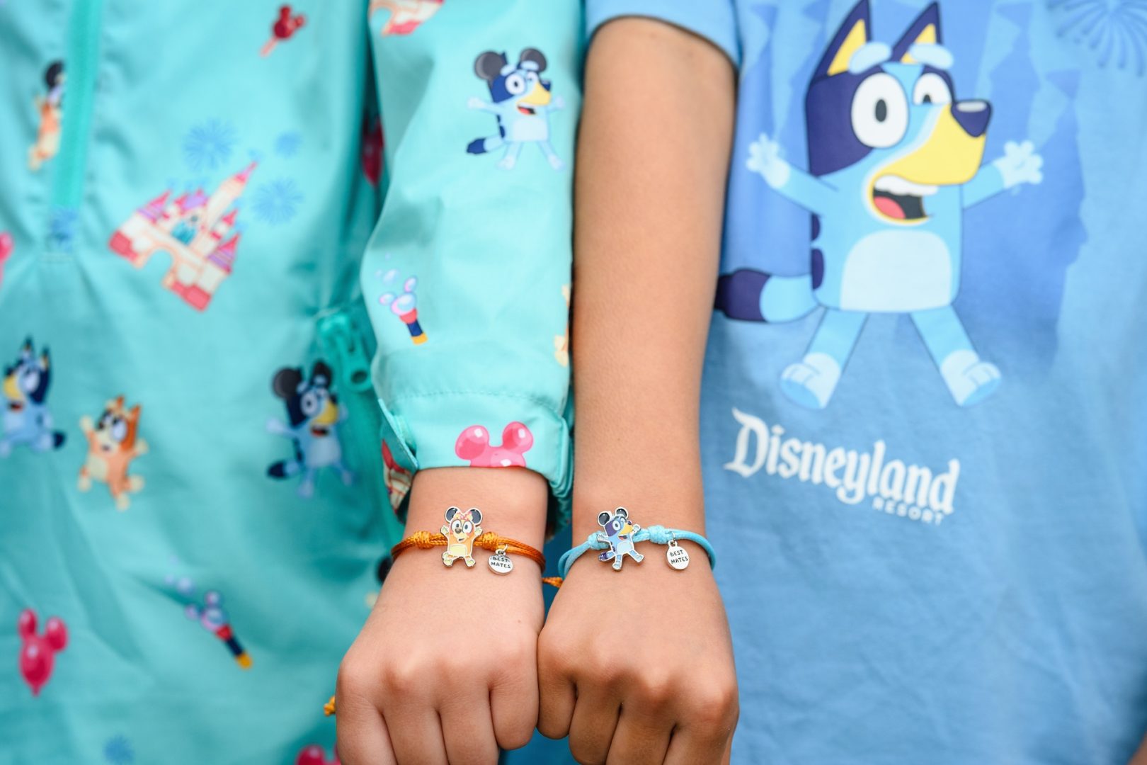 New Bluey Merchandise Coming Soon to Disney Parks and Disney Store
