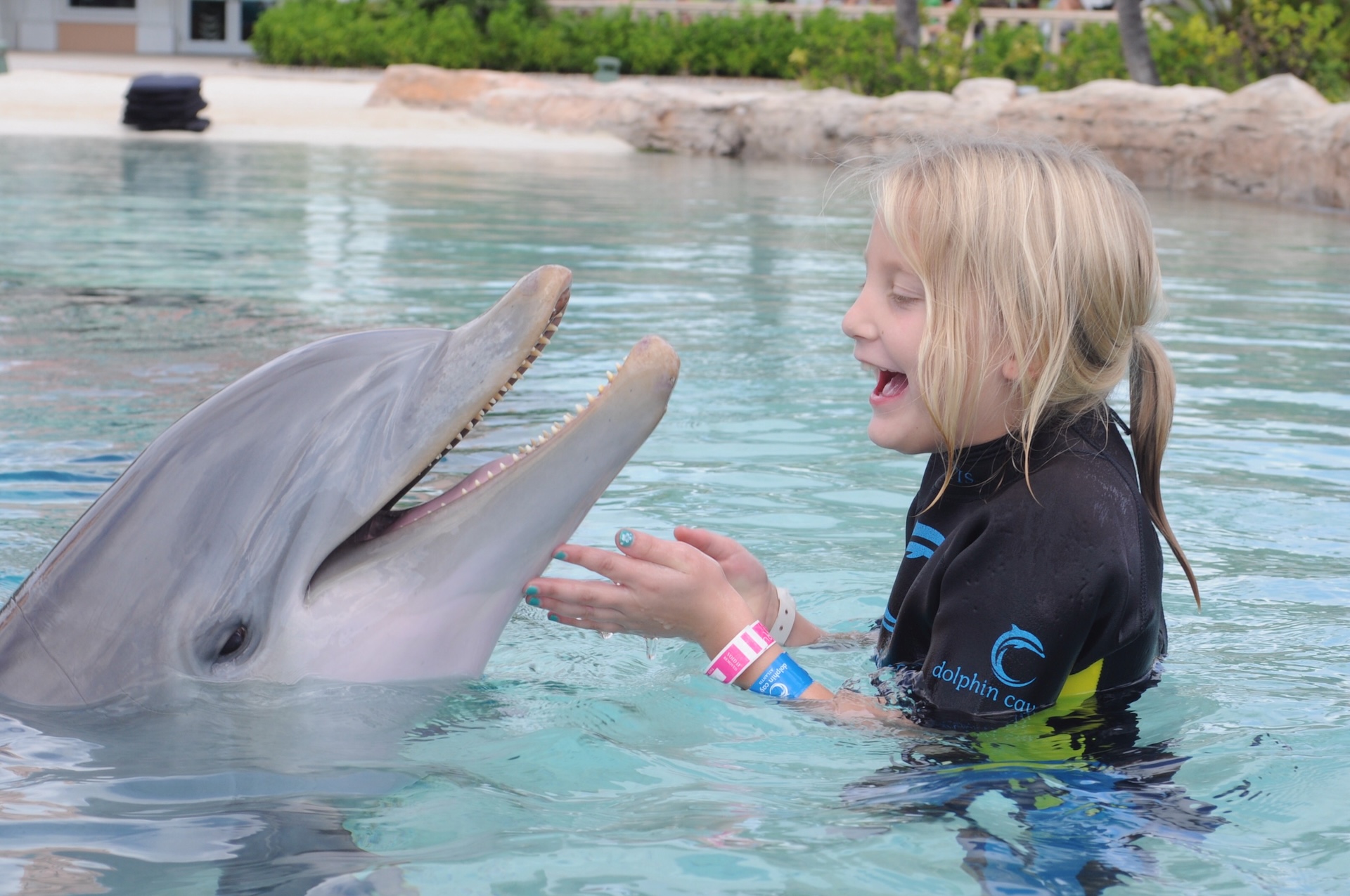 From Make-A-Wish Alumni to Disney Cast Members: Lily & Jim&rsquo;s Story of Hope