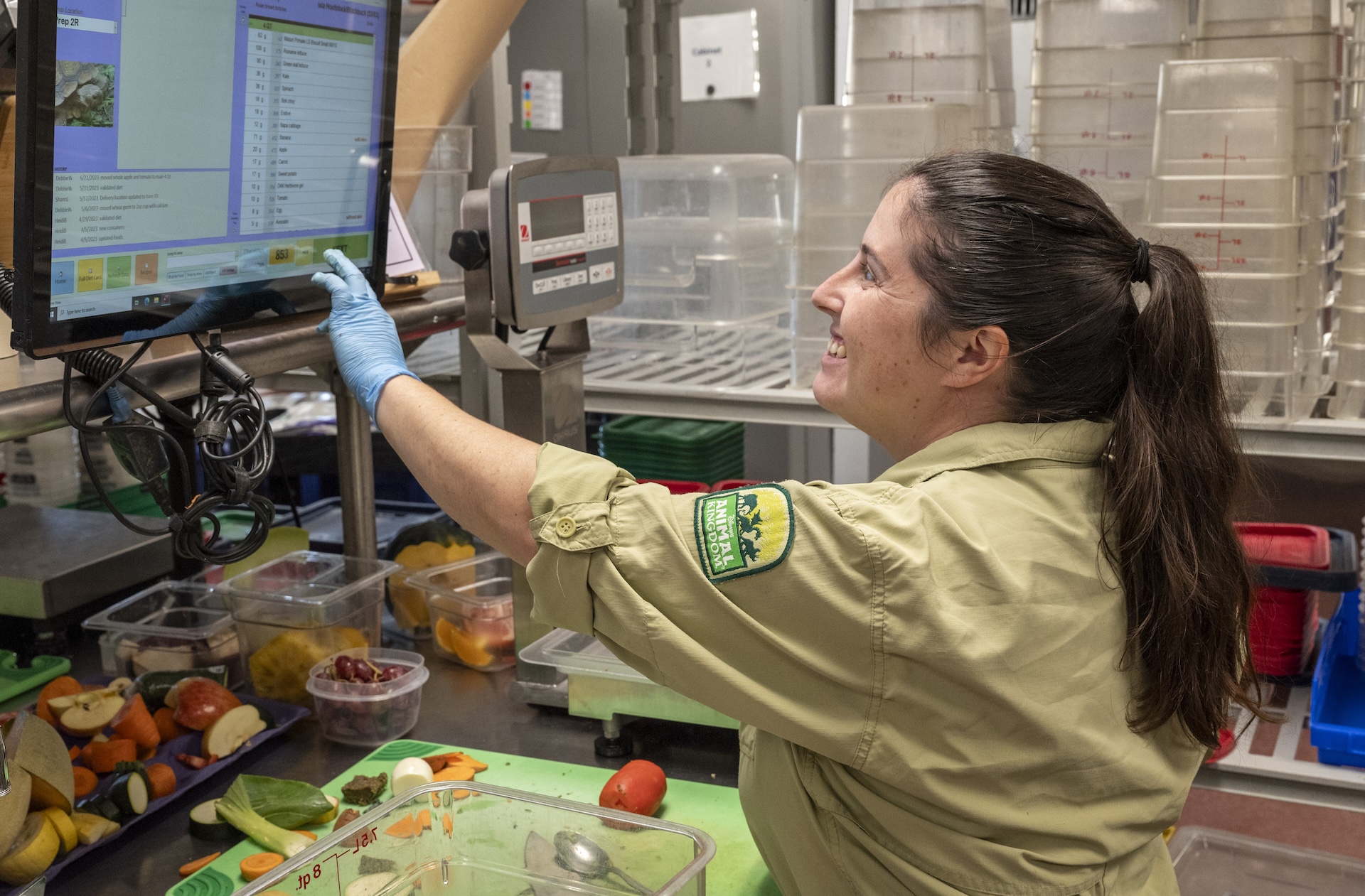 Disney's Animal Kingdom cast member preparing food and nutrition plans for animals