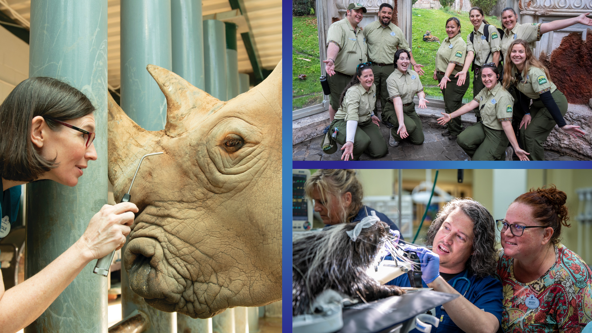 Exploring&nbsp;Animal Care Excellence at Disney&rsquo;s Animal Kingdom