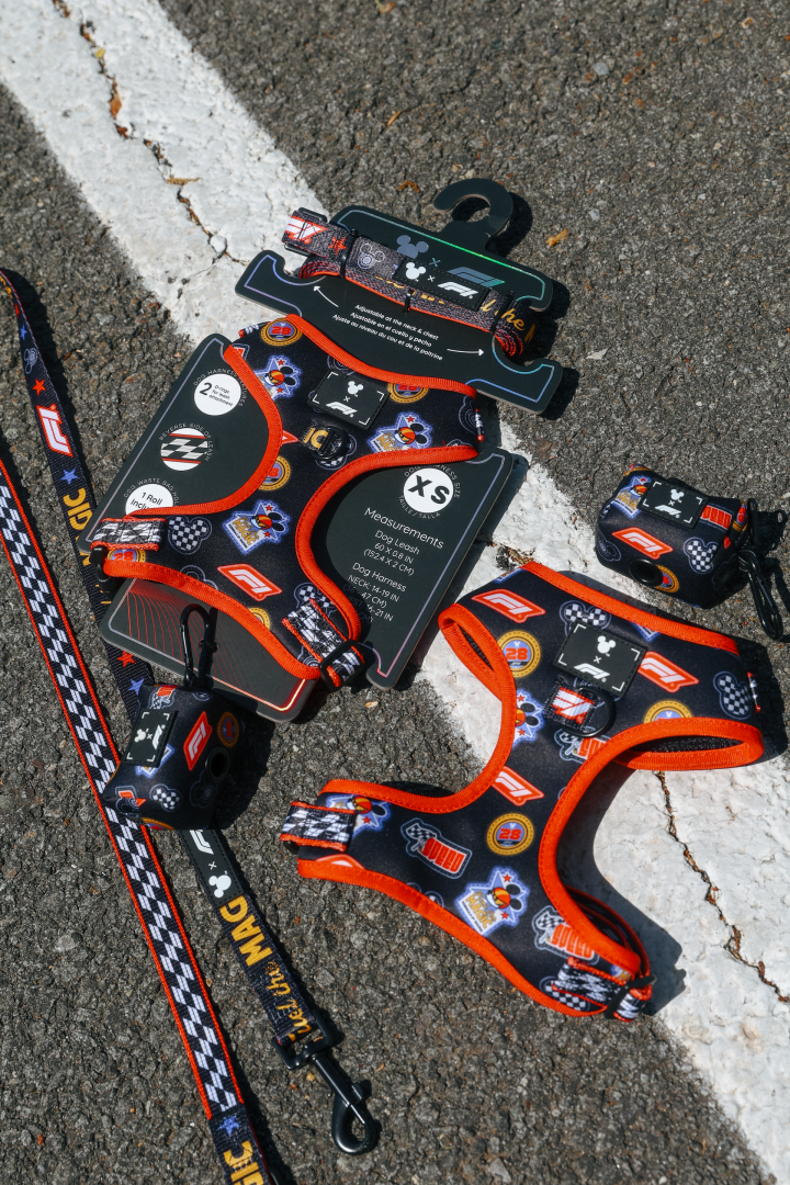 Disney x Formula 1 Merch Collection