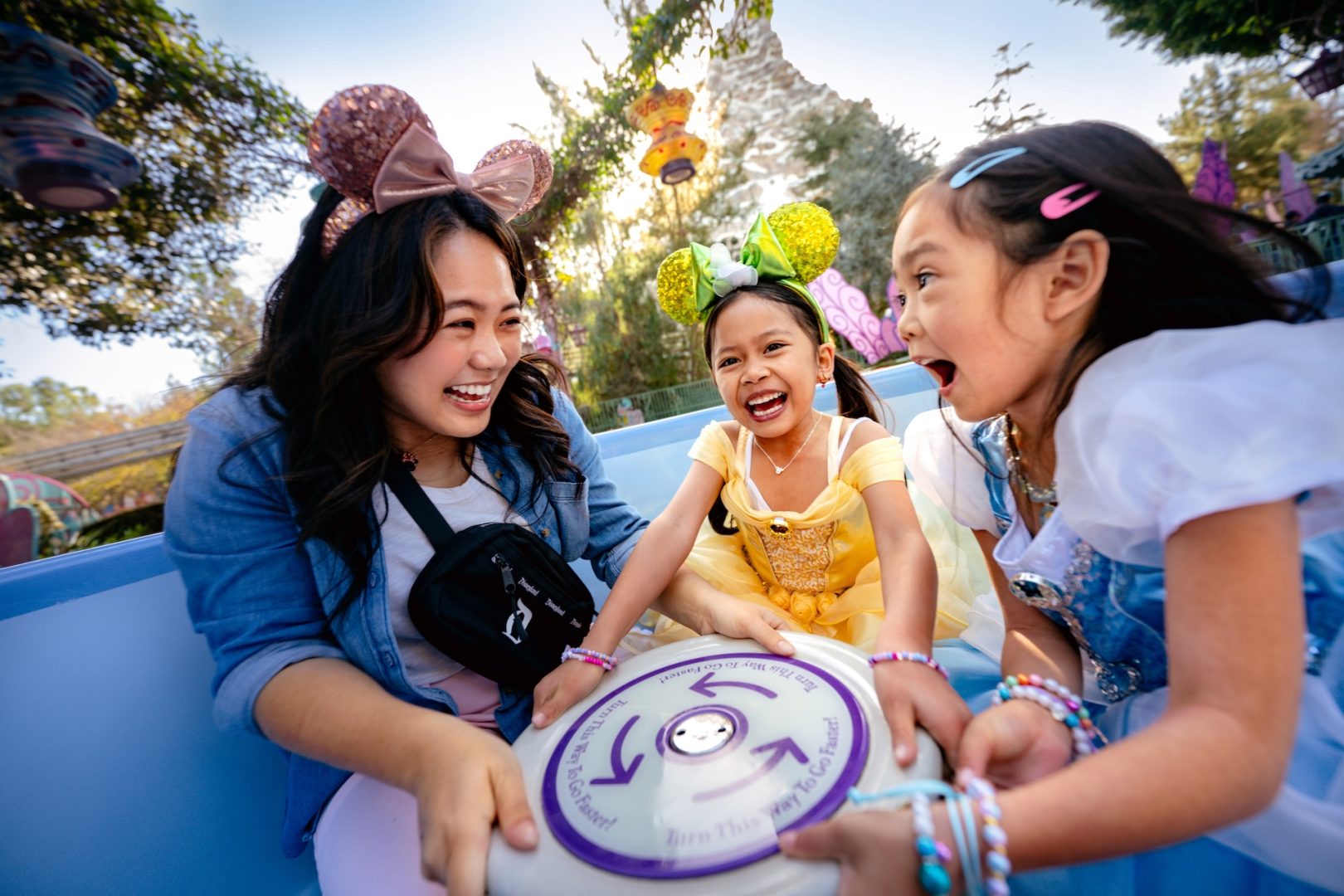 Disneyland Resort Summer Mad Tea Party Teacups