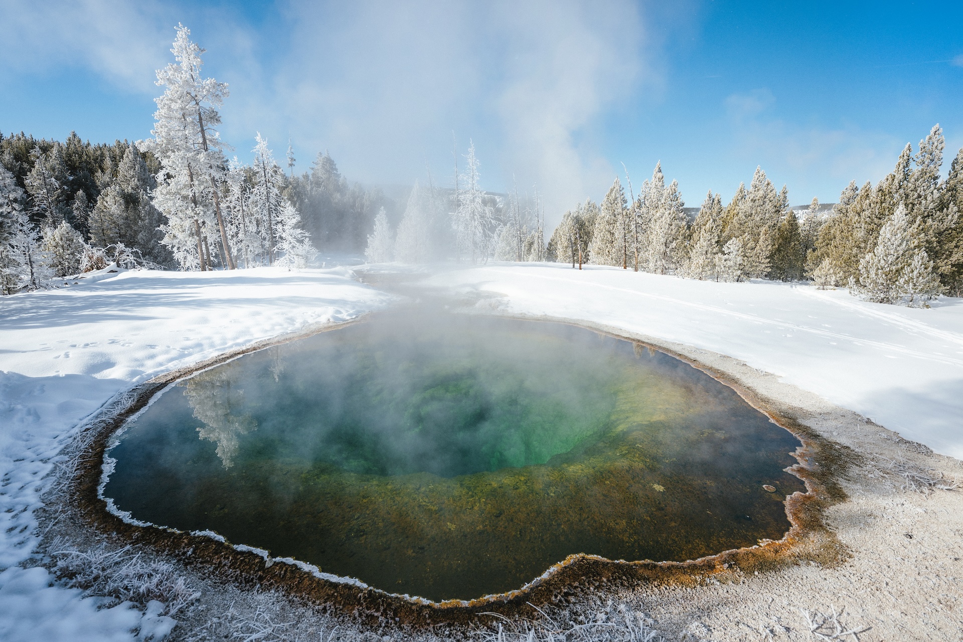 Exploring Yellowstone with Max Lowe and National Geographic Expeditions