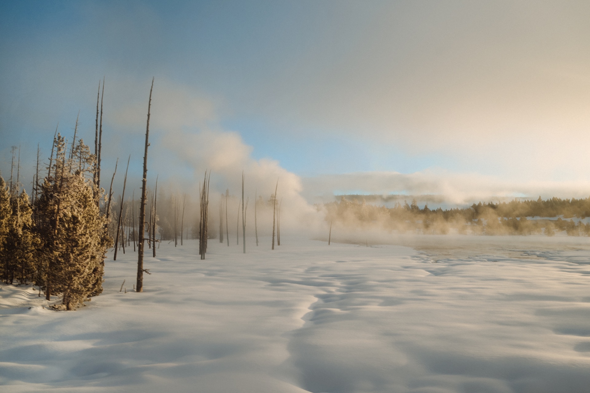 Exploring Yellowstone with Max Lowe and National Geographic Expeditions
