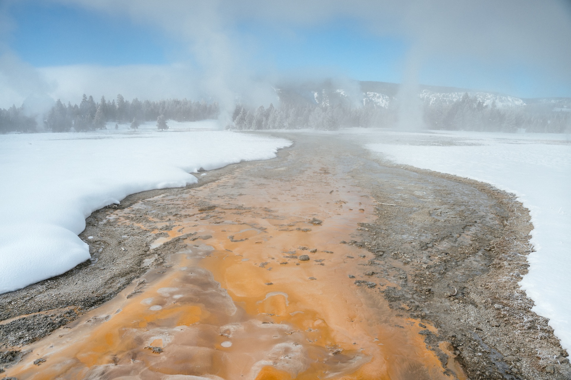 Exploring Yellowstone with Max Lowe and National Geographic Expeditions