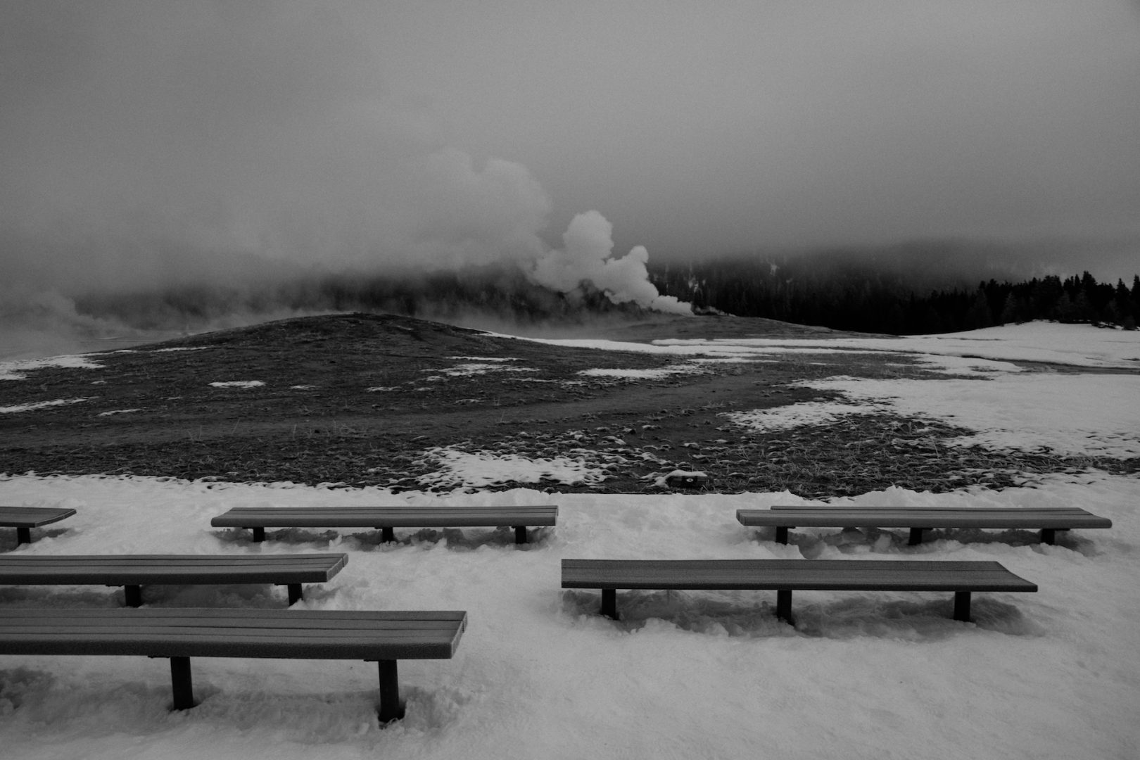 Exploring Yellowstone with Max Lowe and National Geographic Expeditions