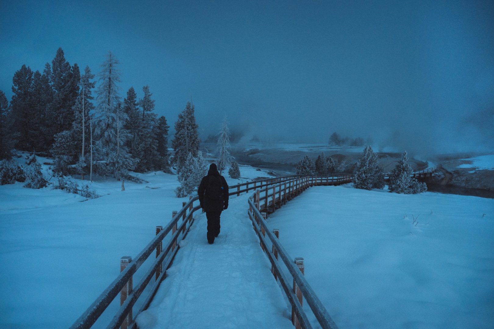 Exploring Yellowstone with Max Lowe and National Geographic Expeditions
