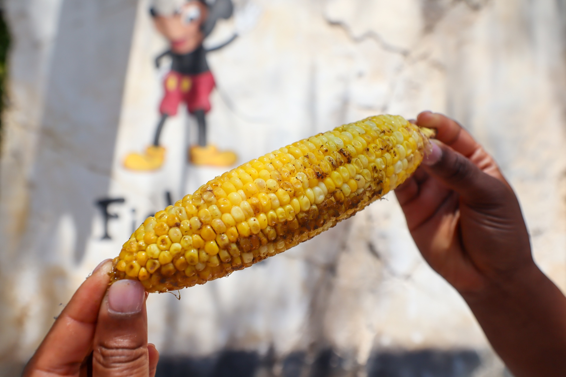 Disney's Animal Kingdom Food Corn on the Cob