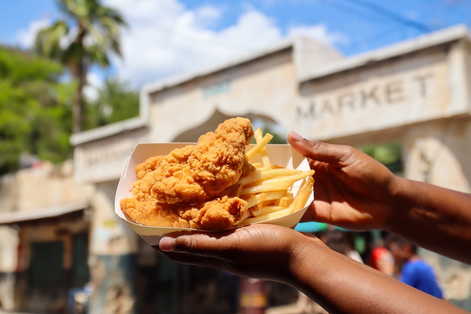 Disney's Animal Kingdom Food Chicken Strips