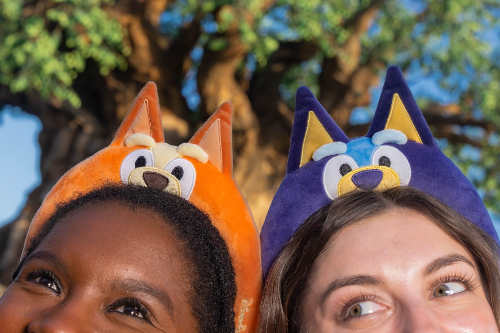 Everything You Need to Know about Bluey at Disney&rsquo;s Animal Kingdom Merchandise
