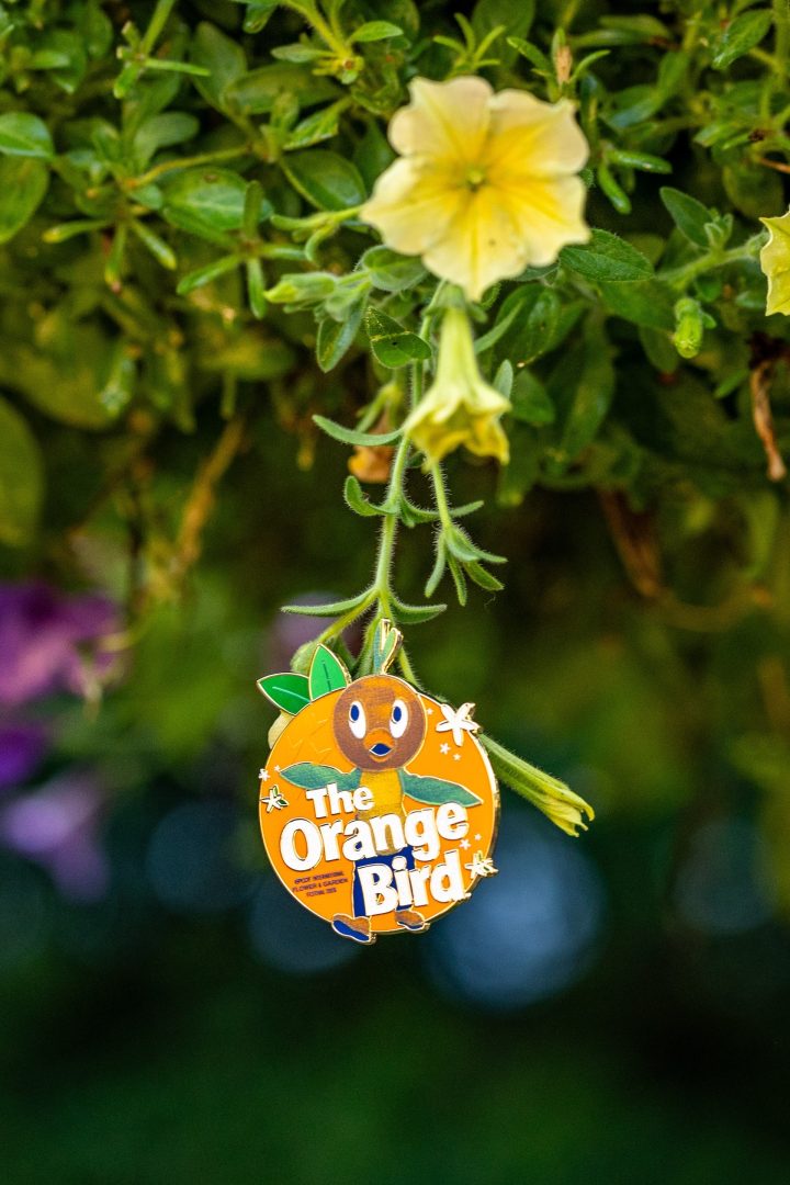 Flower & Garden Festival Vintage Orange Bird Collection Pin