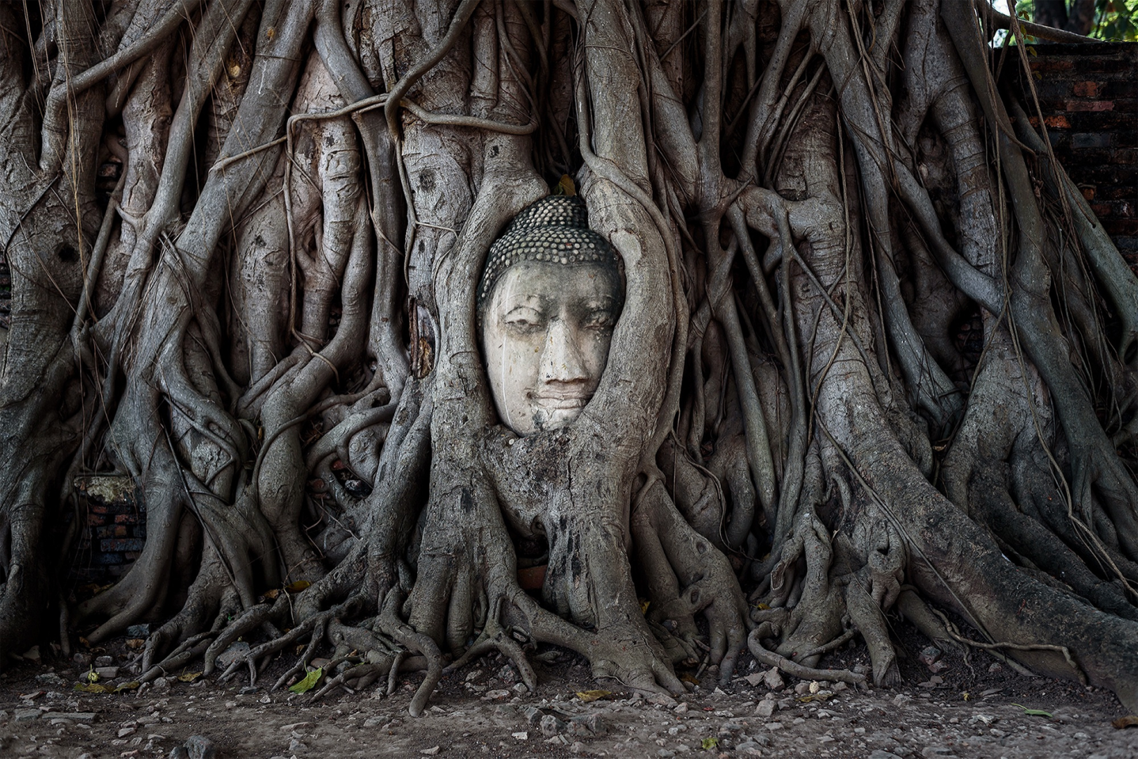 Ayutthaya - Thailand