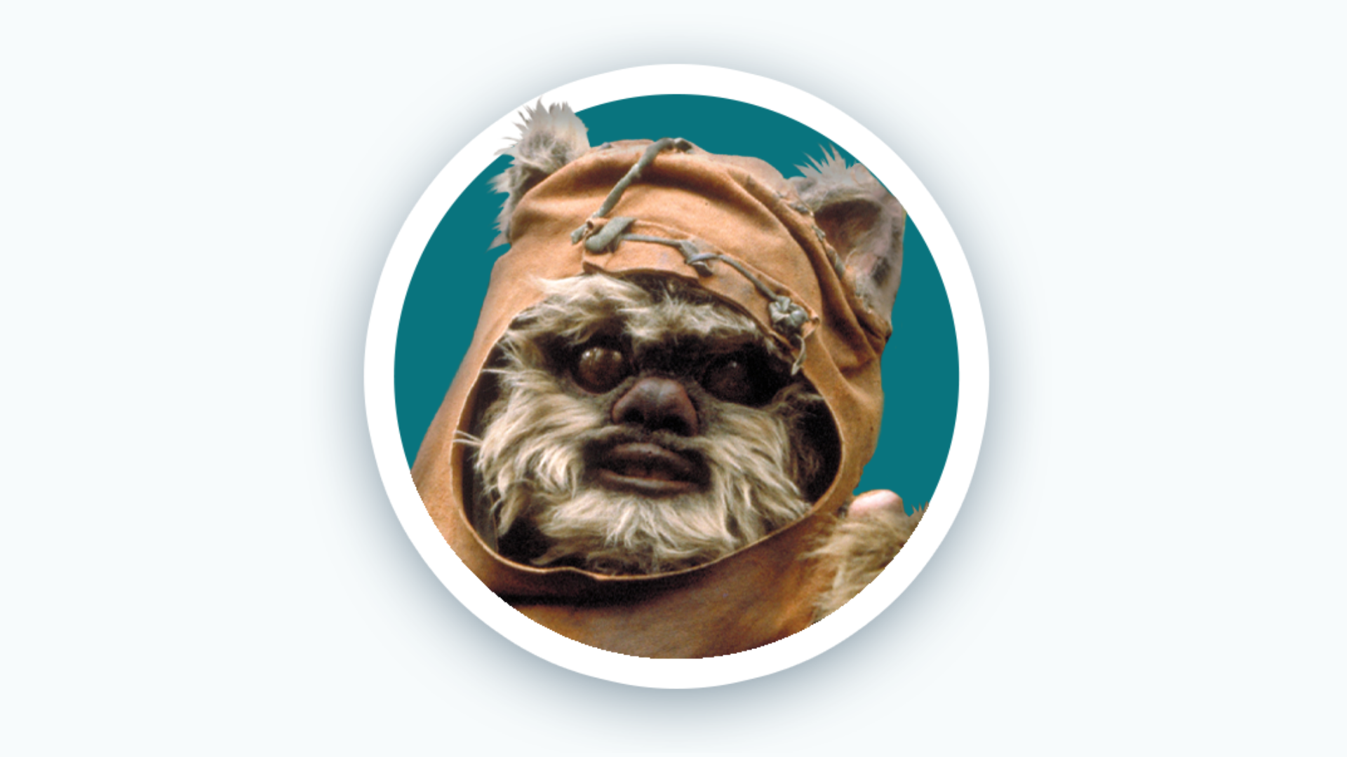 Ewok Icon