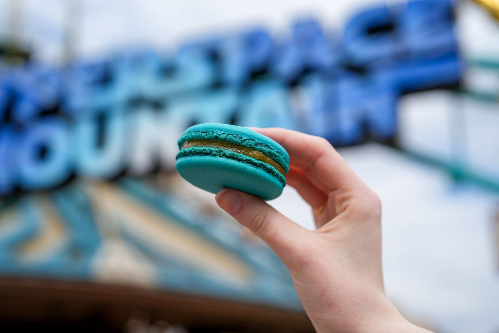 May the 4th Macaron
