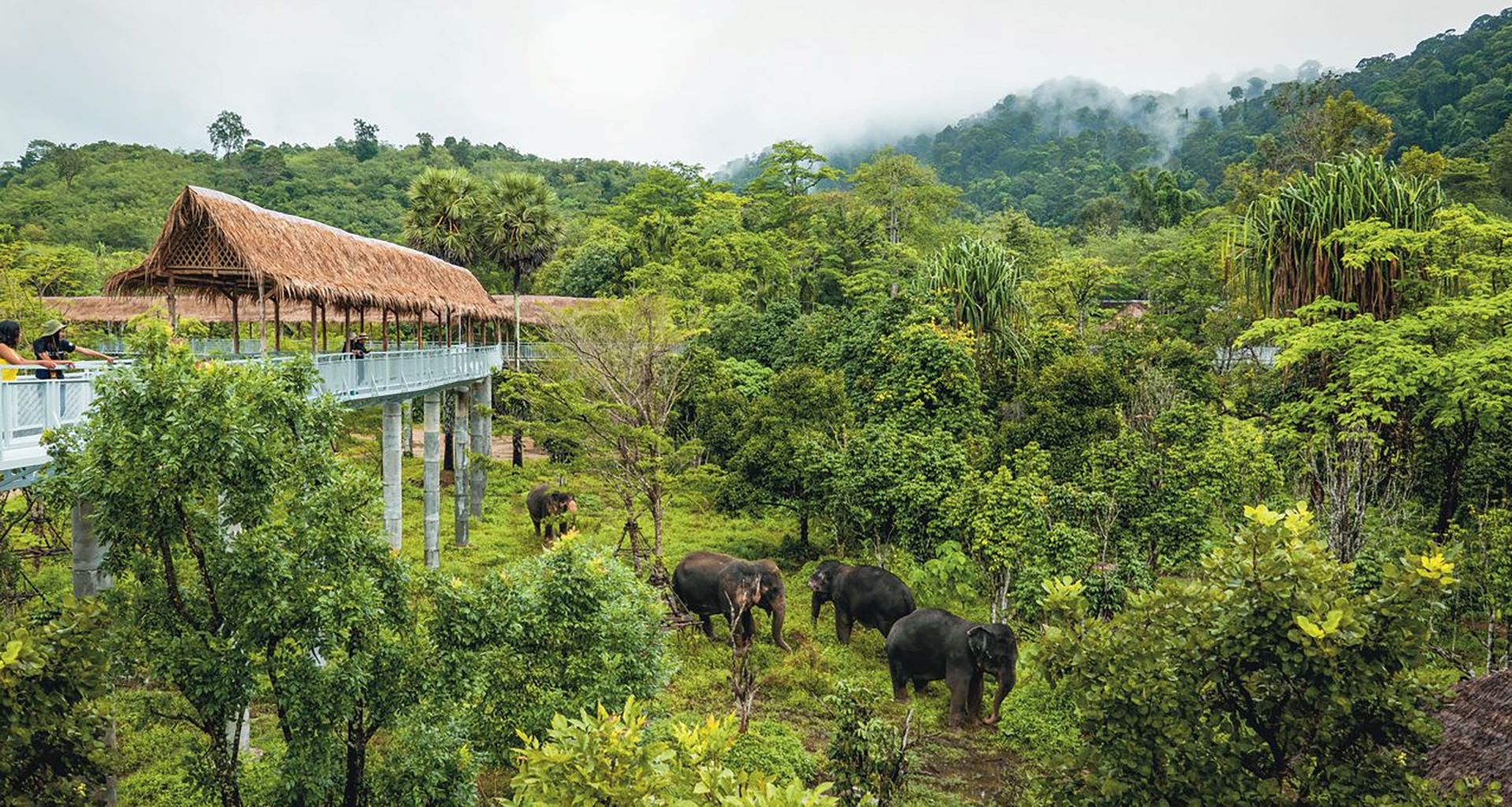 Thailand Phuket Elephant Sanctuary