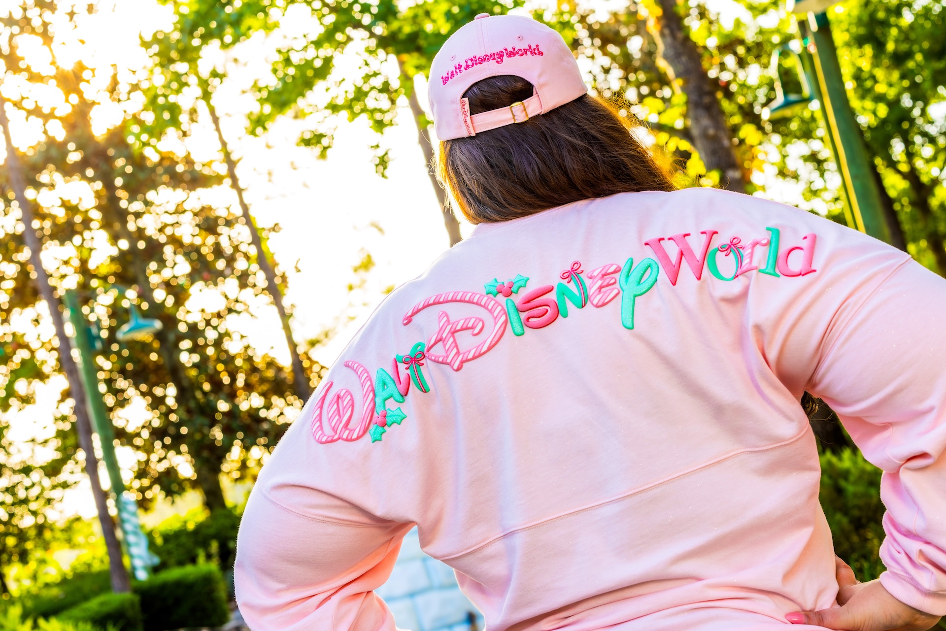 Disney Store Holiday Merchandise Preview Spirit Jersey