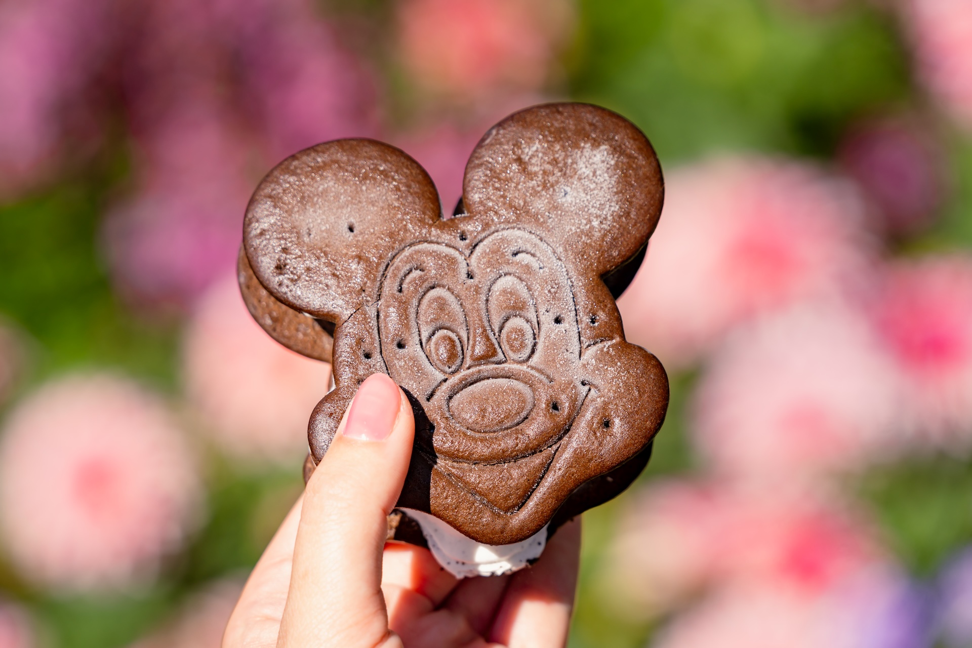 Disneyland Summer Cold Treats Mickey Ice Cream Sandwich
