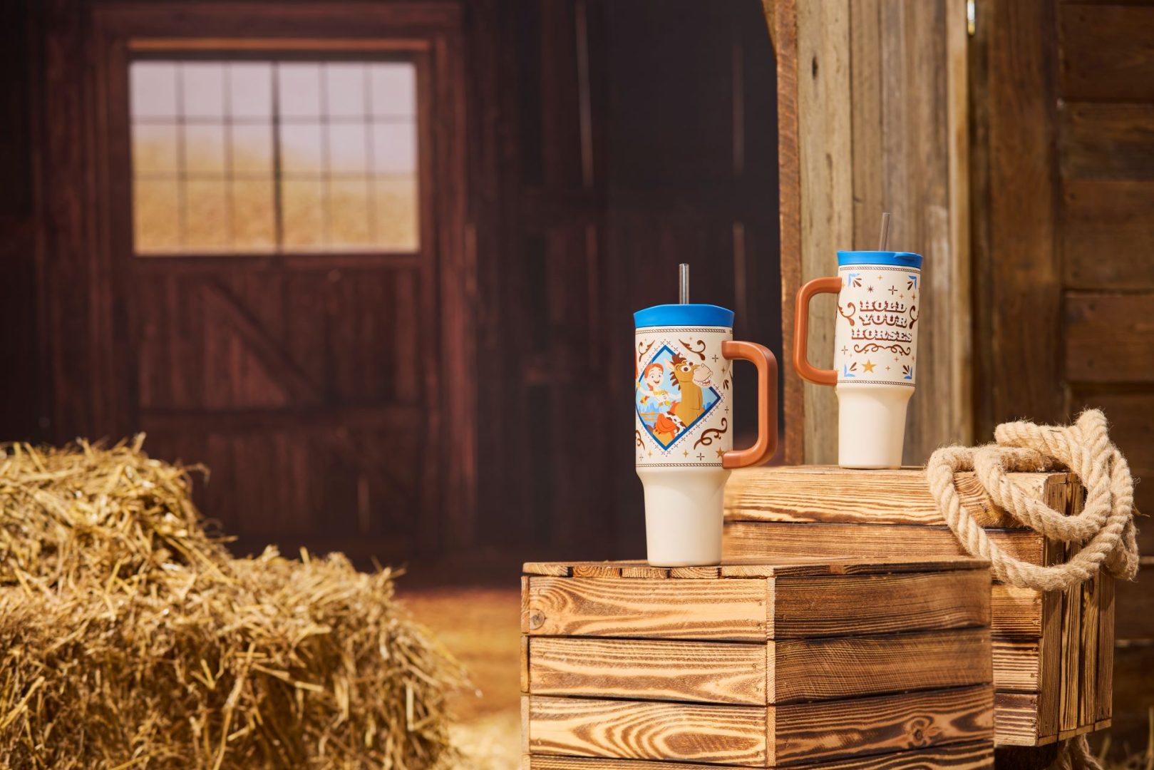 Jessie and Bullseye 30 oz. Stainless Steel Travel Tumbler with Straw