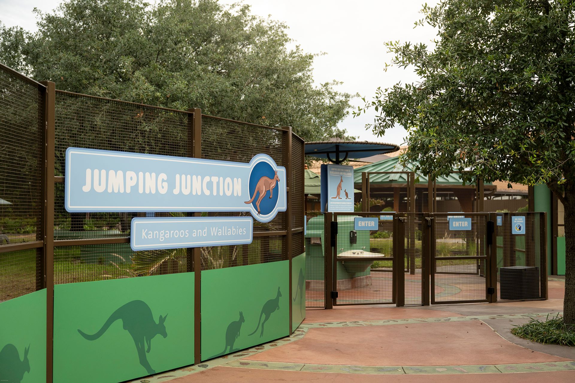 Jumping Junction at Disney's Animal Kingdom