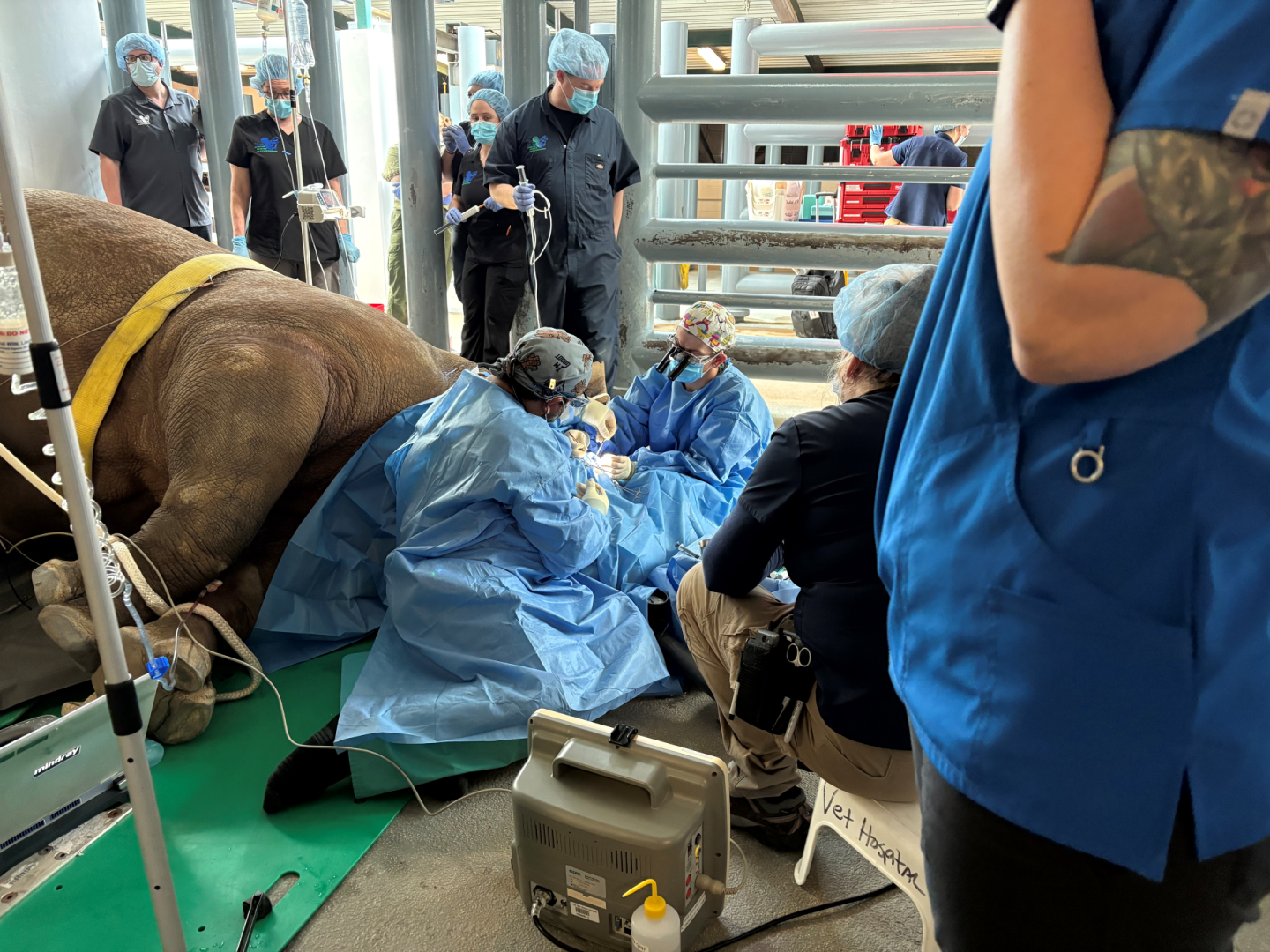 Kendi Eye Surgery