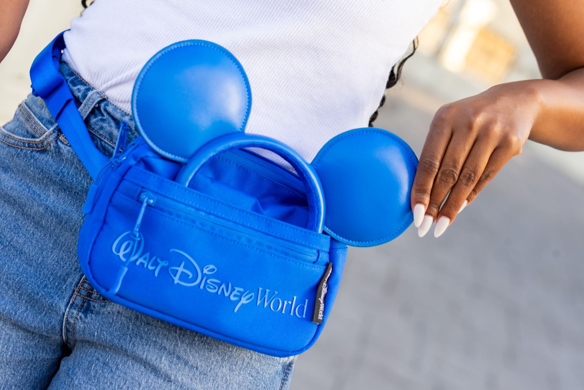 Last Day of Parks Blue Collection - Fanny Pack