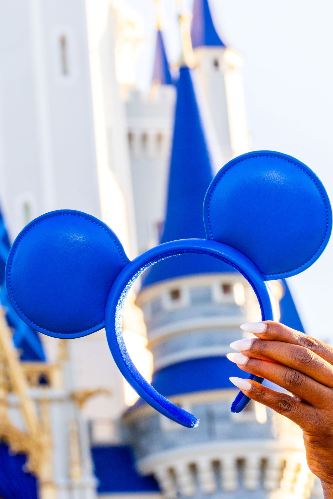 Last Day of Parks Blue Collection - Headband