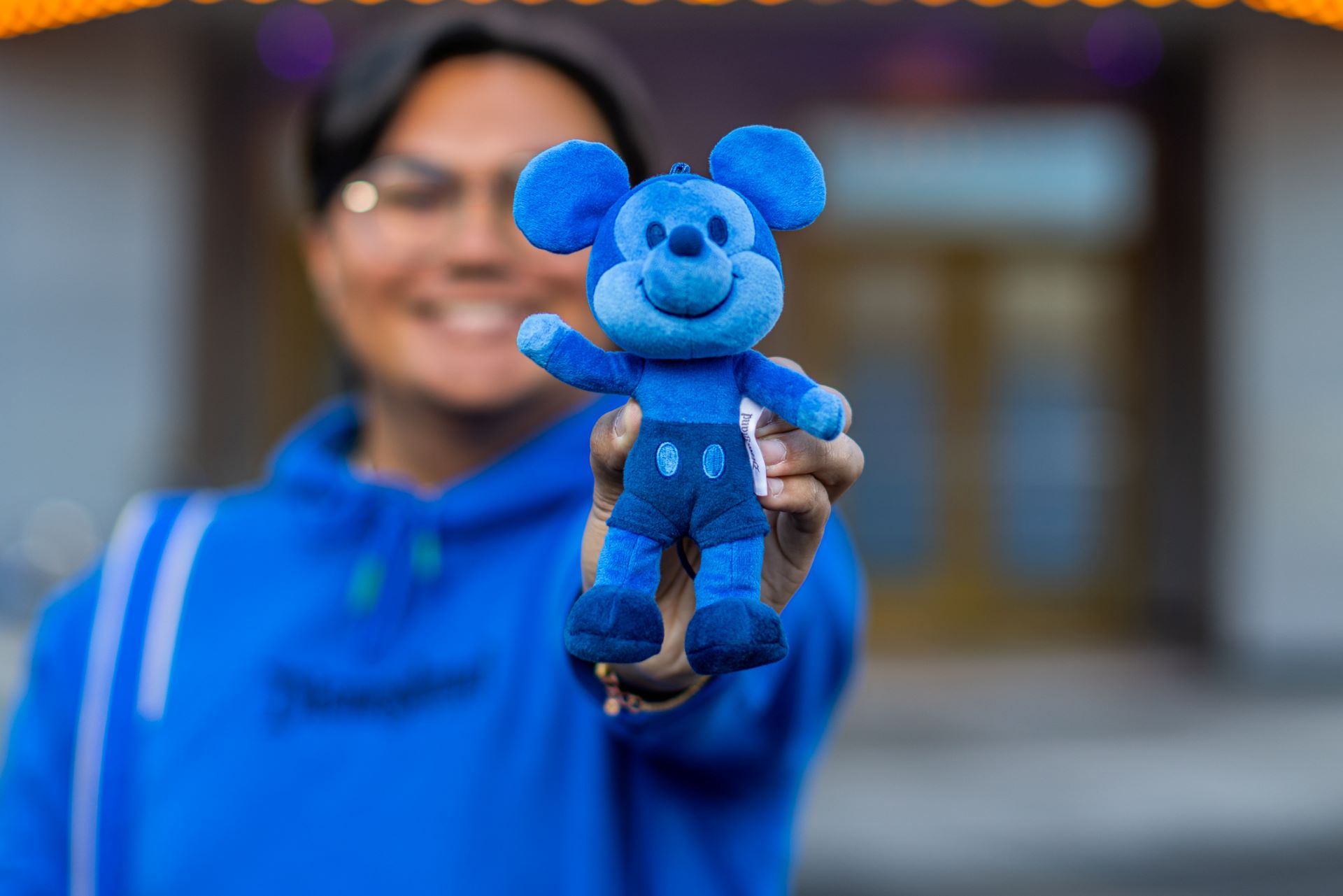 Last Day of Parks Blue Collection - Plush