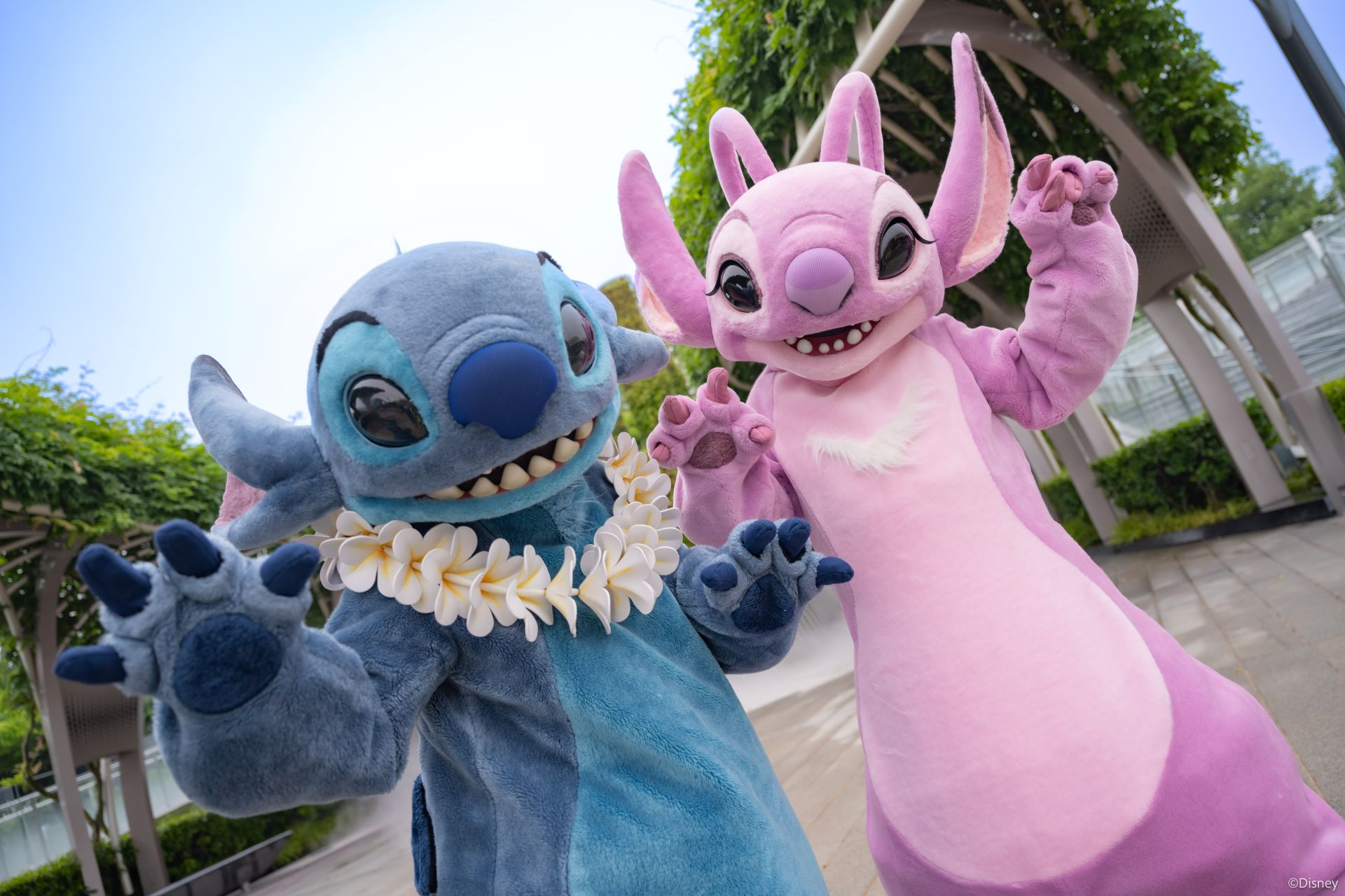 Stitch and Angel - Disneyland Paris