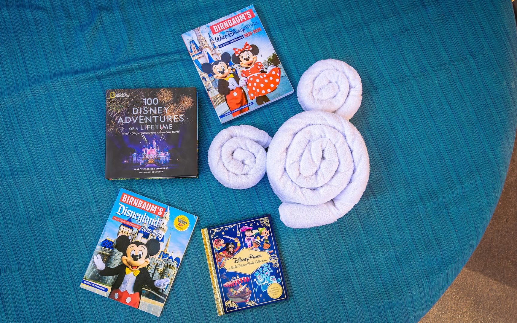 What to Read this Summer Based on Your Disney Parks Travel Personality