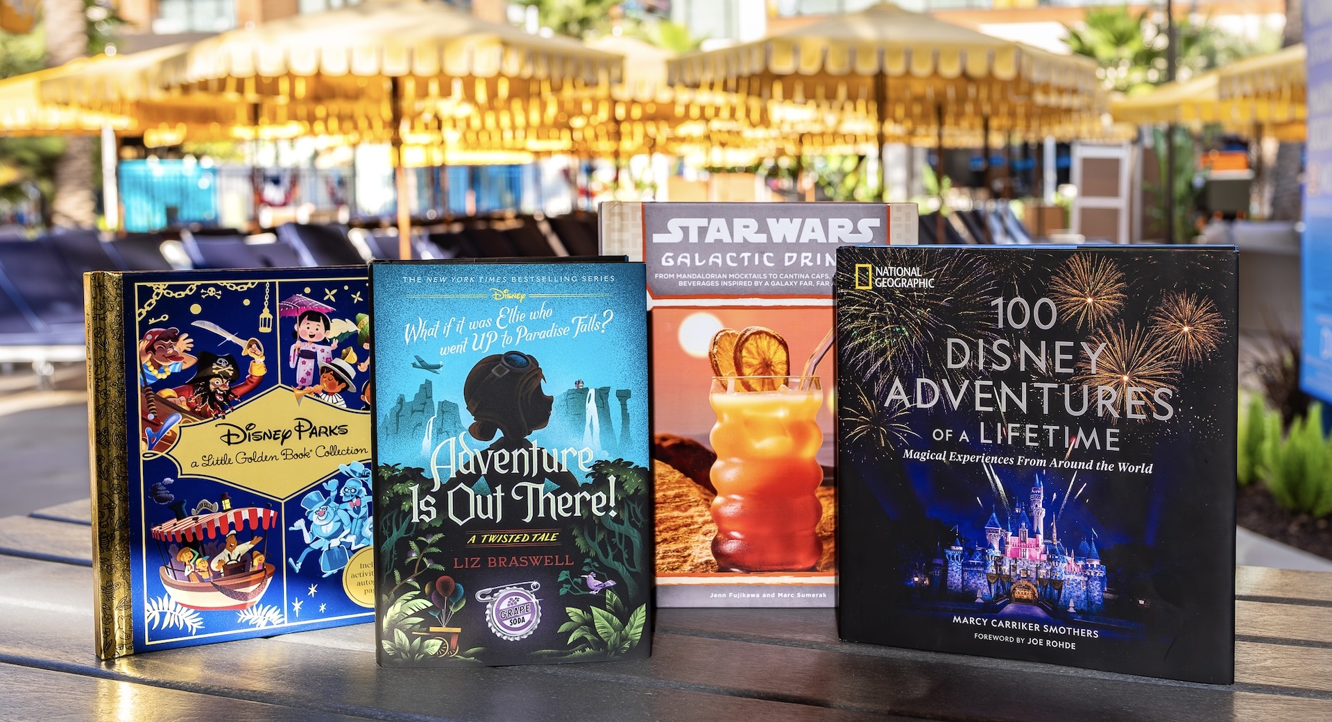What to Read this Summer Based on Your Disney Parks Travel Personality