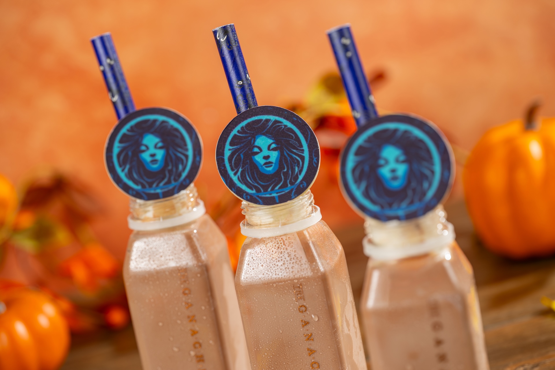 Pumpkin Spice Malted Chocolate Chiller: A blend of three chocolates, malt, and pumpkin spice