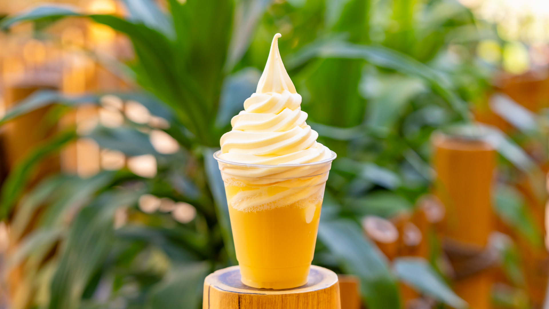 DOLE Whip Float
