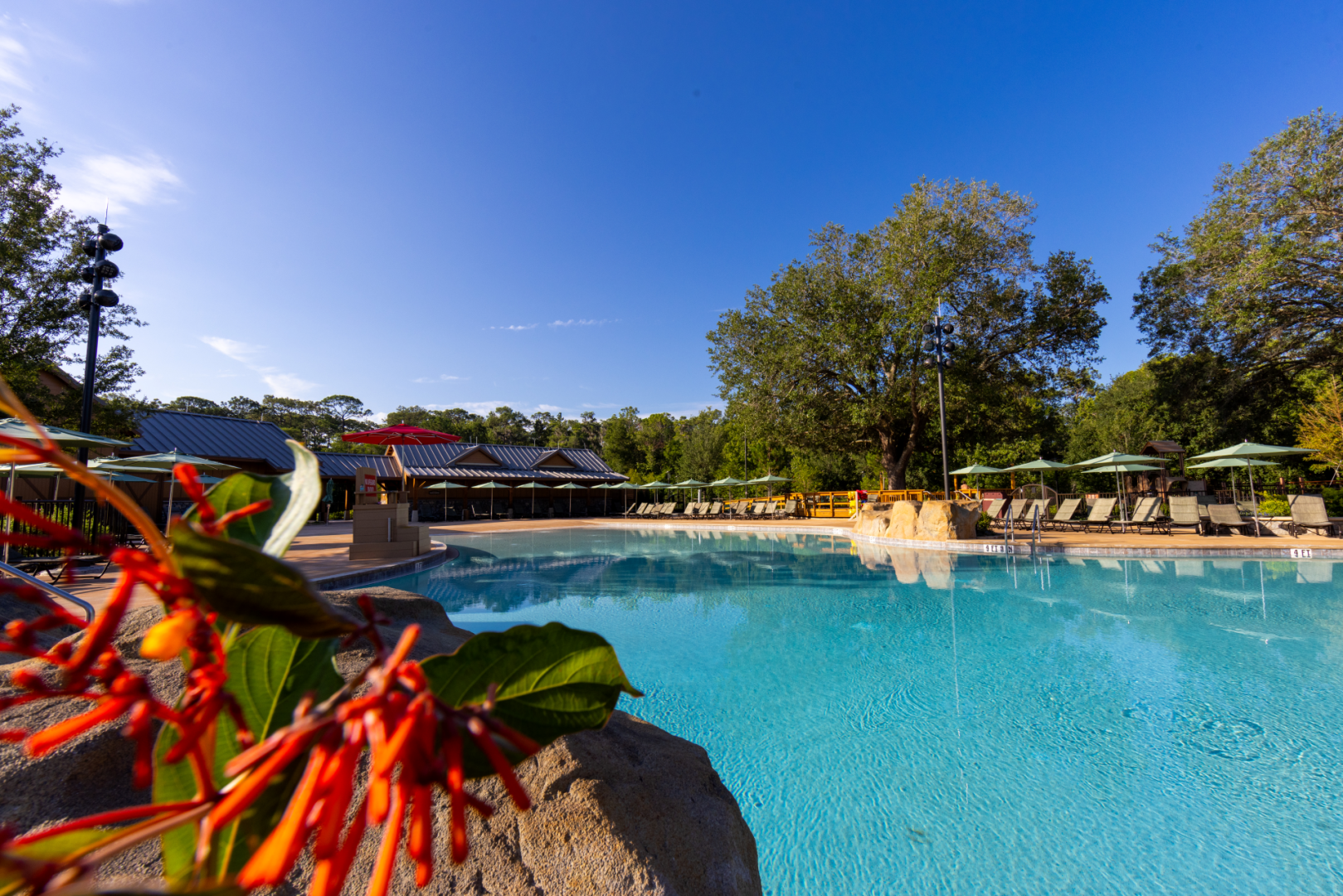 Fort Wilderness - Pool