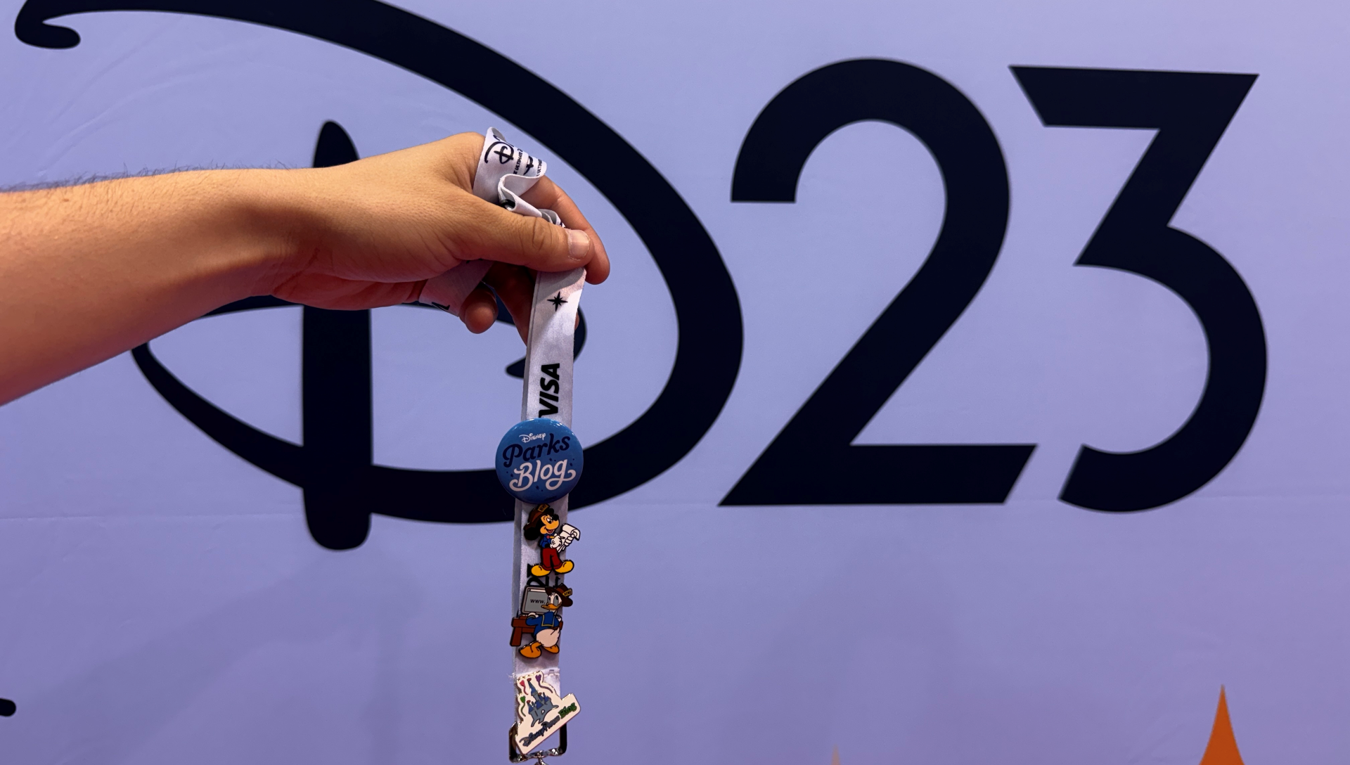 D23 Pins