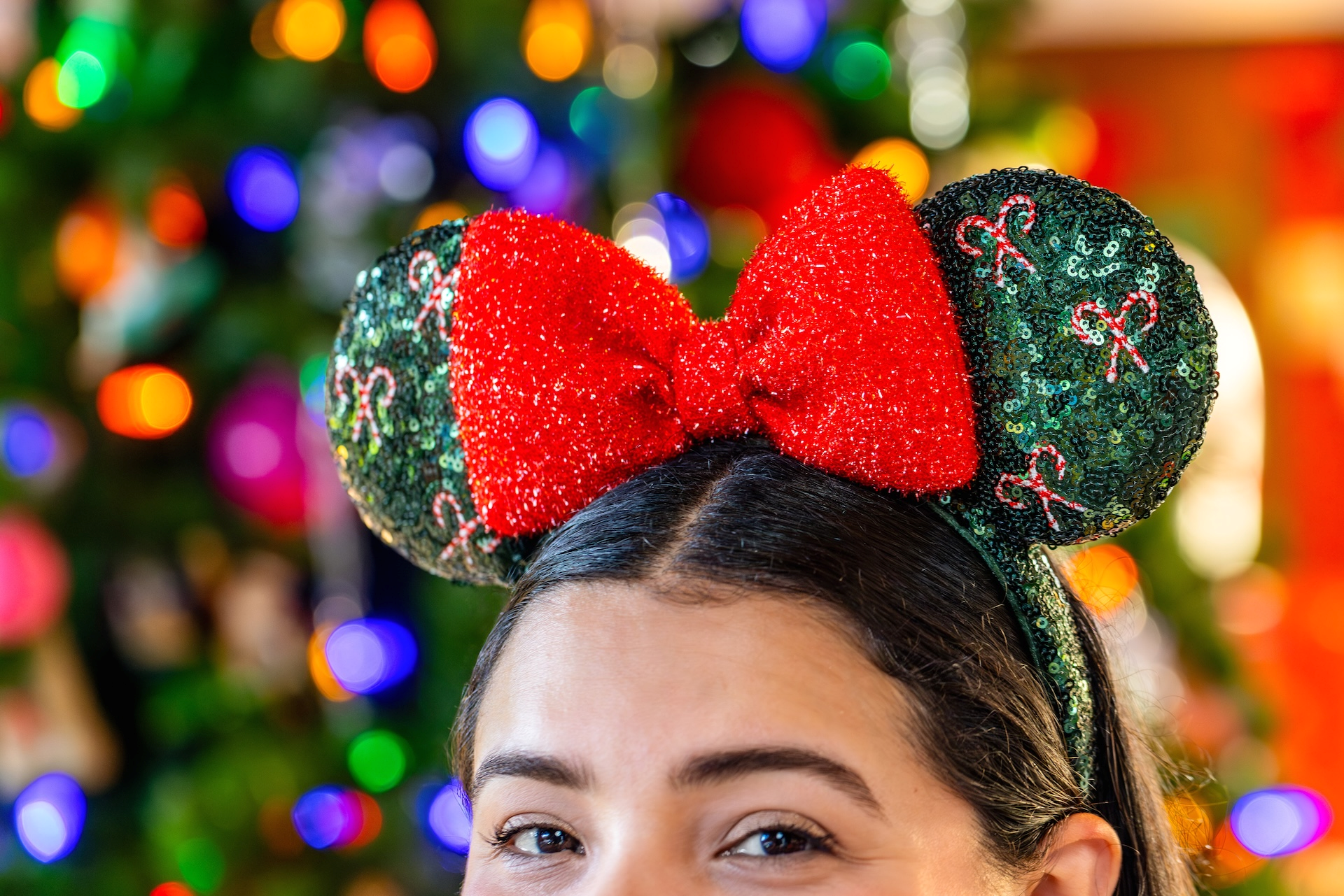 Holiday Merch Disneyland