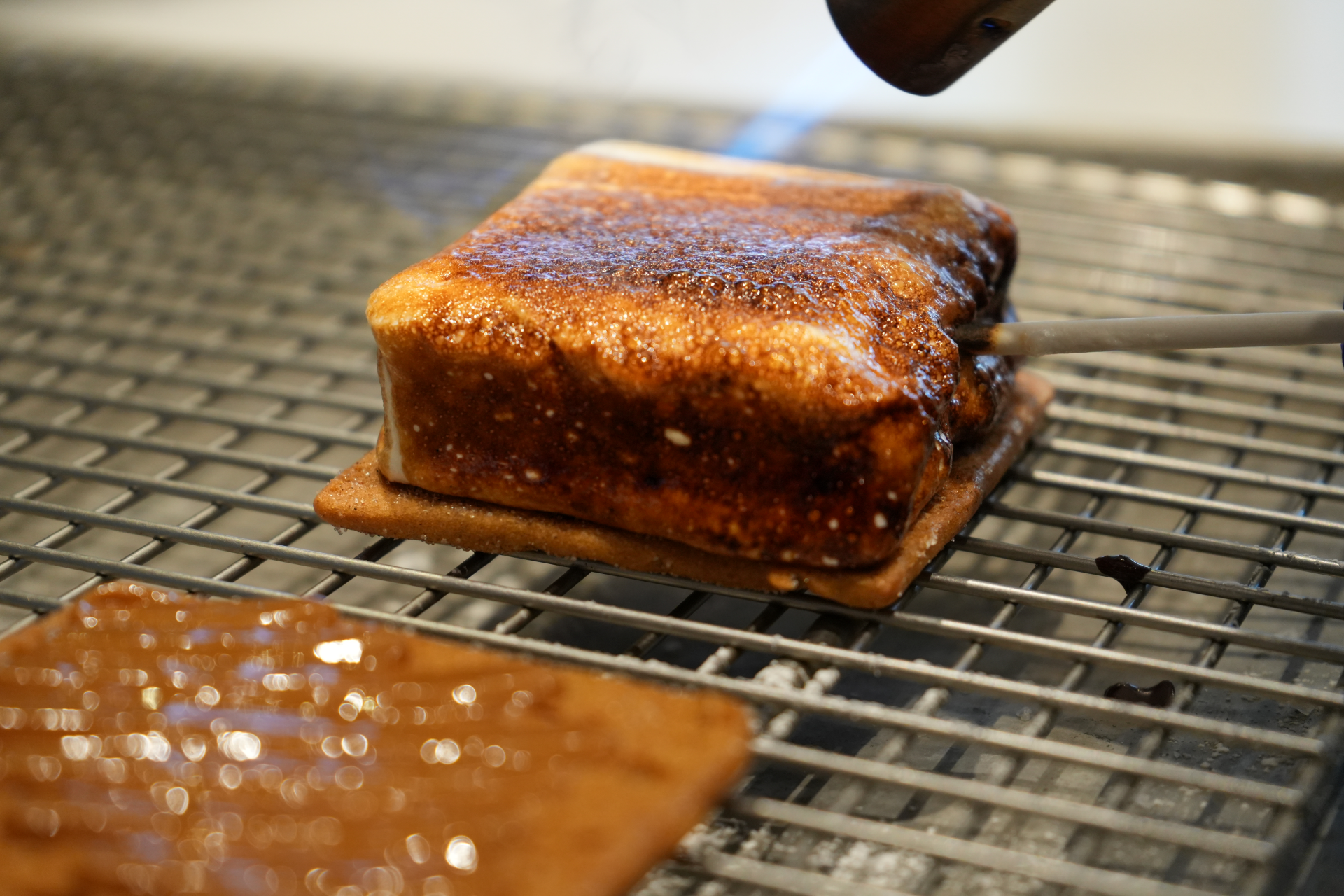 S'Mores Walt Disney World