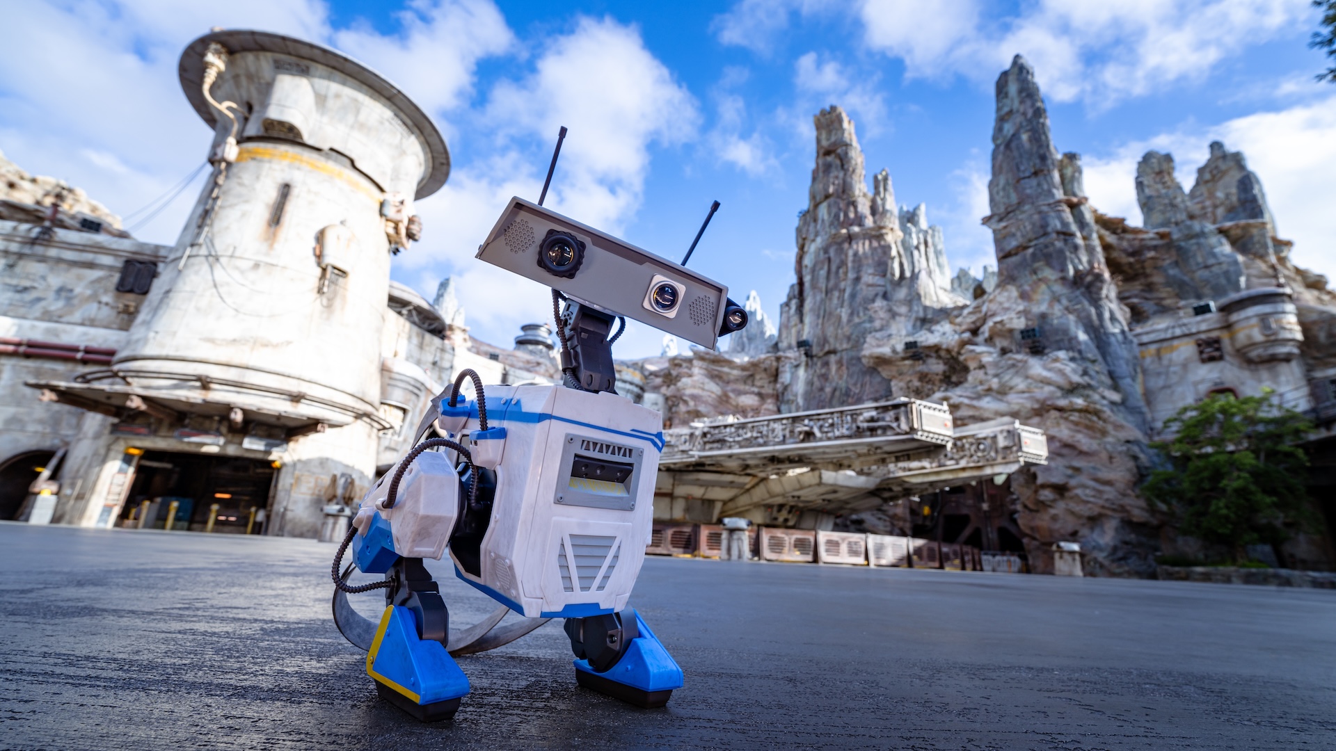 BDX Droid Bucket