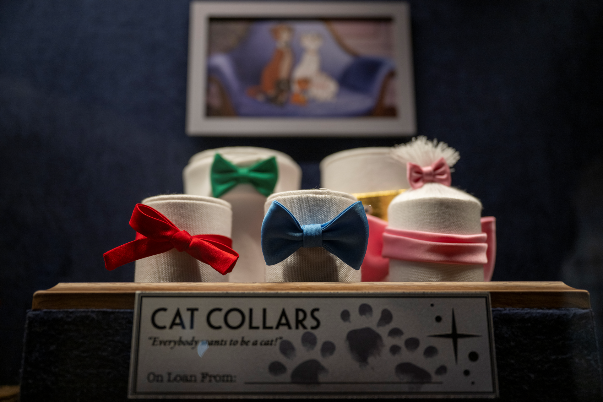 Display of cat collars in various colors on a wooden shelf.