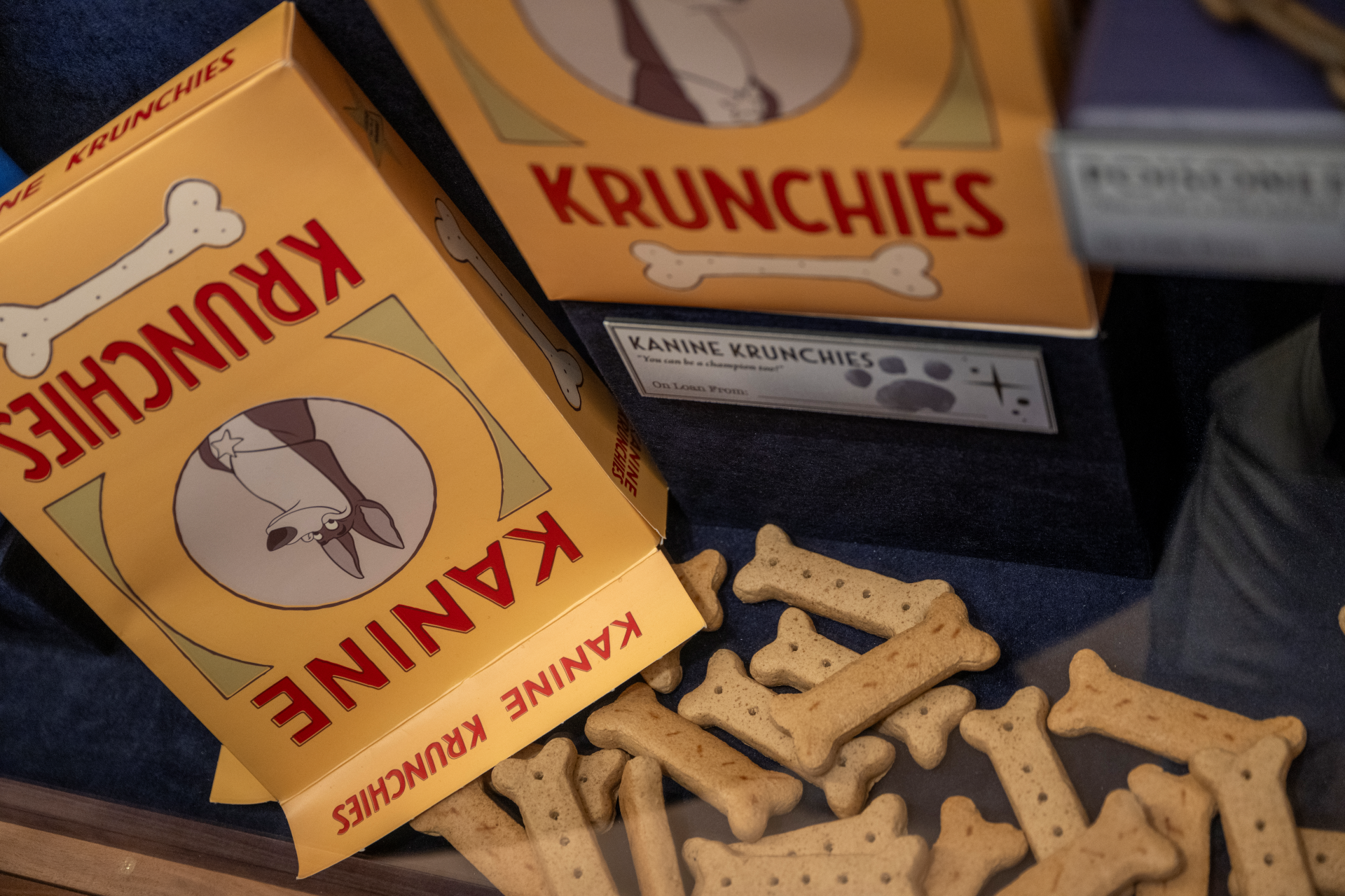 Box of 'Kanine Krunchies' dog treats with bone-shaped biscuits.