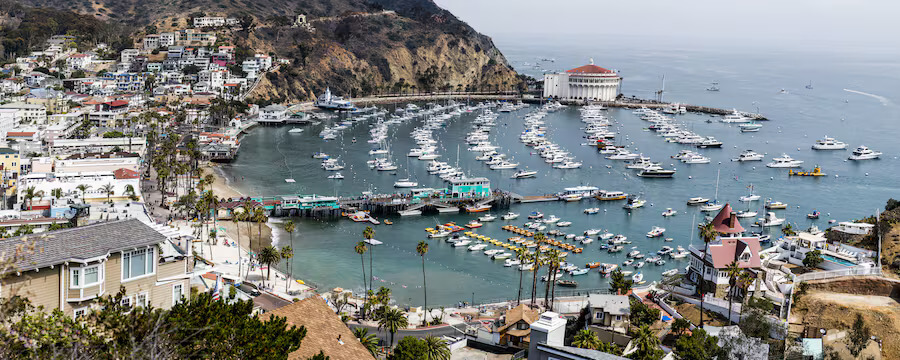 avalon-harbor-catalina cruise
