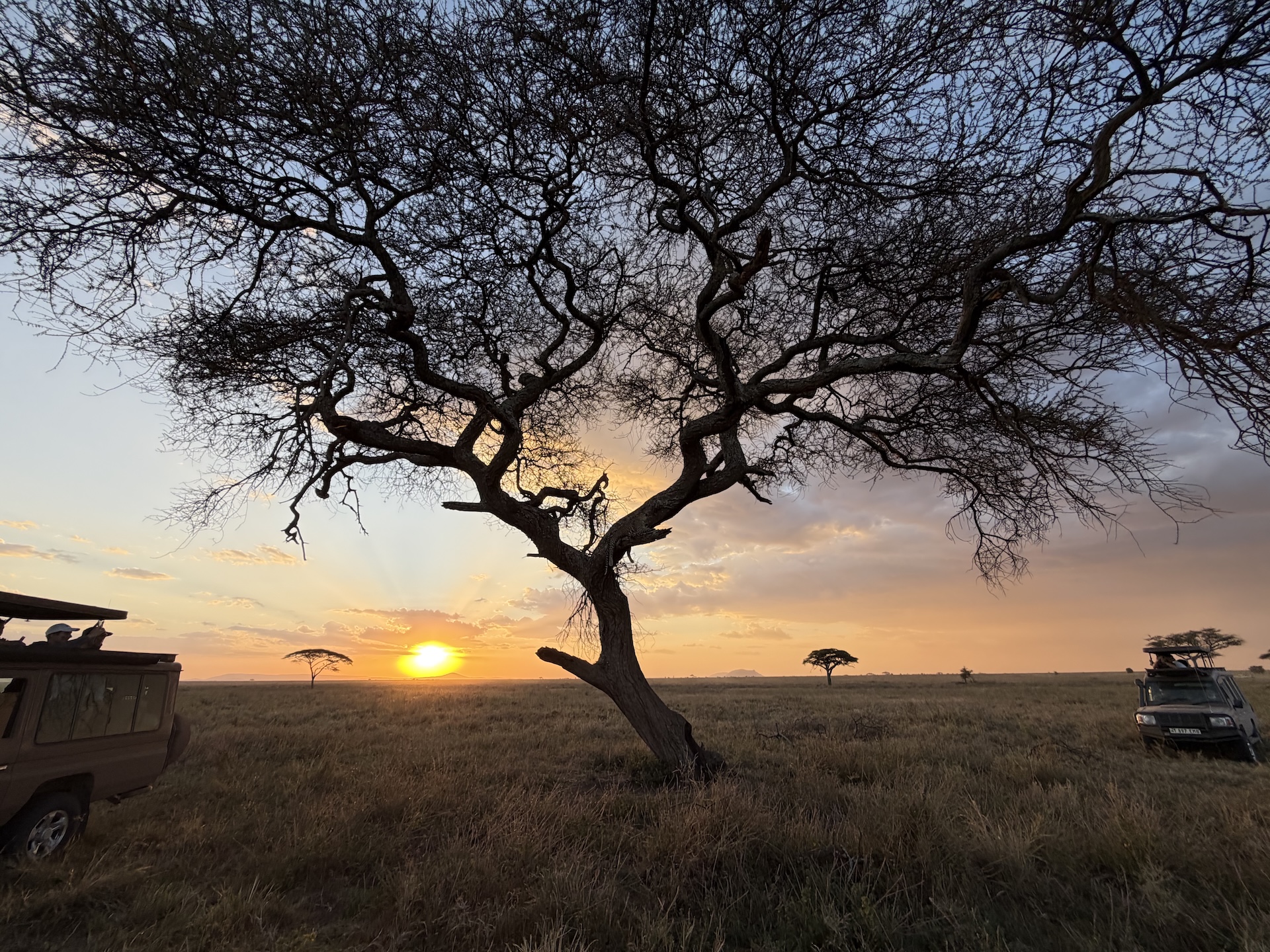 Alexandra's Make-A-Wish African Safari with National Geographic Expeditions