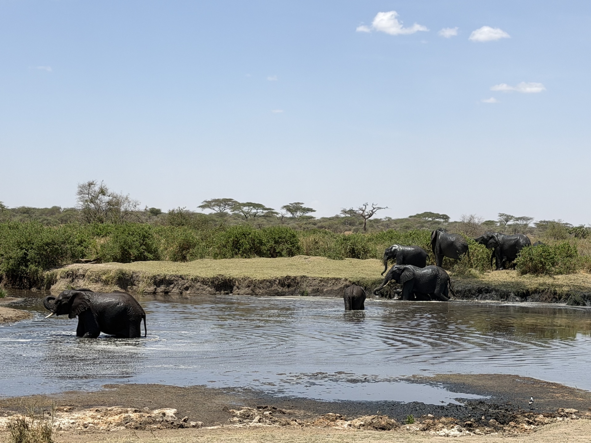 Alexandra's Make-A-Wish African Safari with National Geographic Expeditions