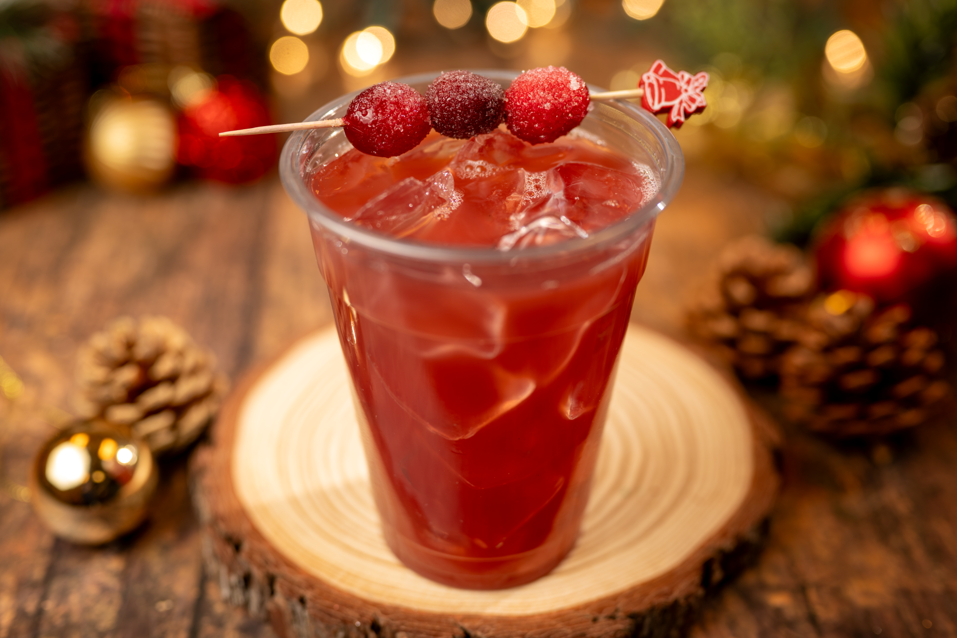 Disney Springs Cranberry Paloma