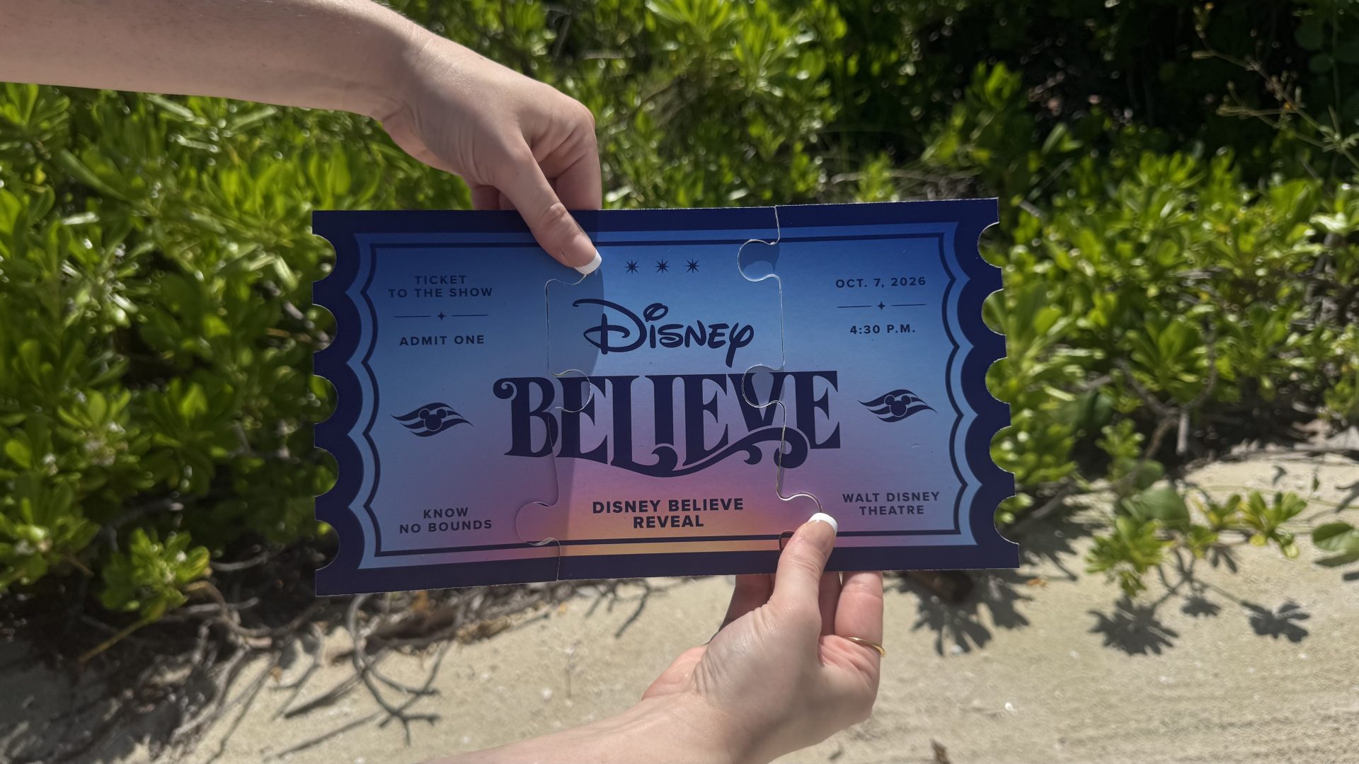 Full Disney Believe reveal ticket