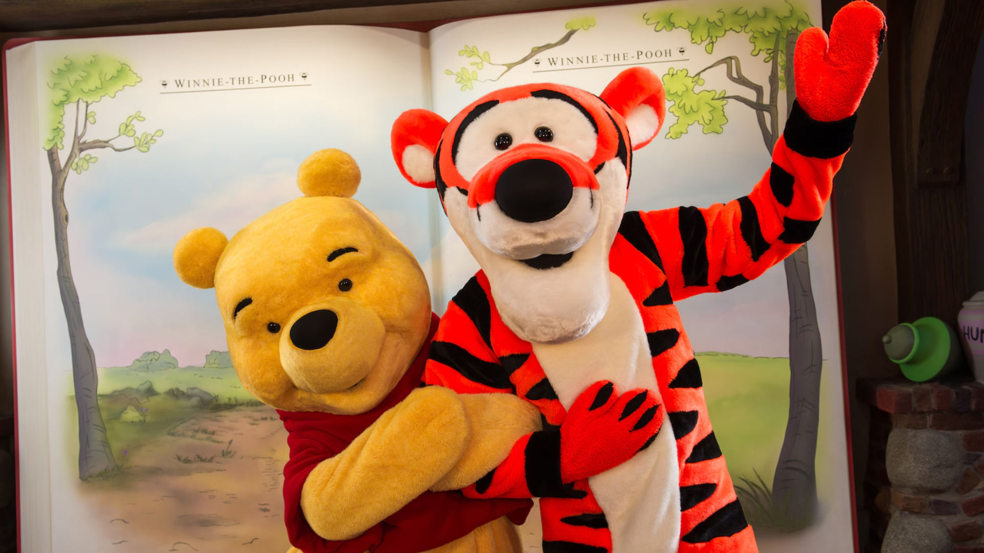 Winnie the Pooh Disney World