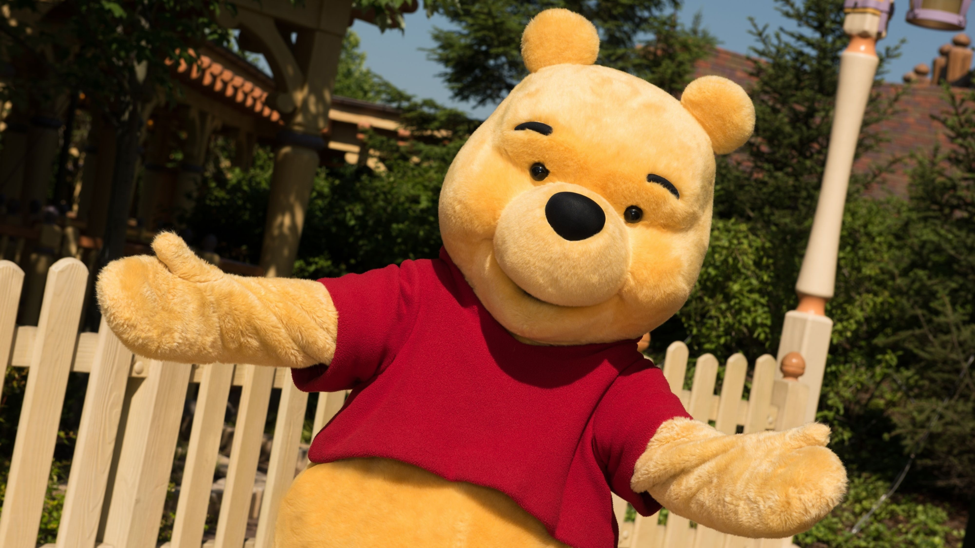 Winnie the Pooh at Disney Experiences